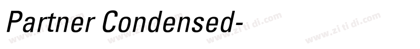 Partner Condensed字体转换